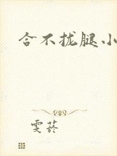 合不拢腿小说