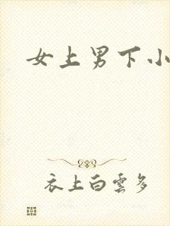 女上男下小说