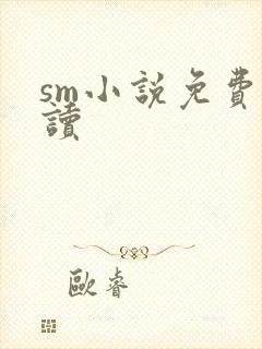 sm小说免费阅读