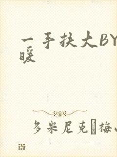 一手扶大BY泱暖封面
