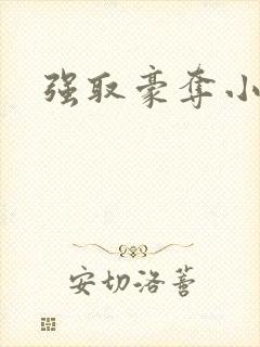 强取豪夺小说封面