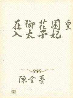 在御花园皇上进入太子妃封面