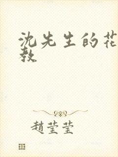 沈先生的花式管教