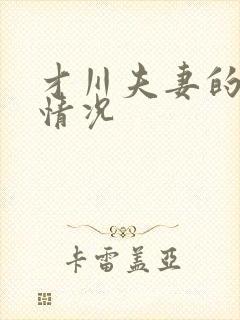 才川夫妻的恋爱情况封面