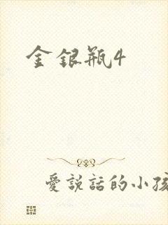 金银瓶4封面