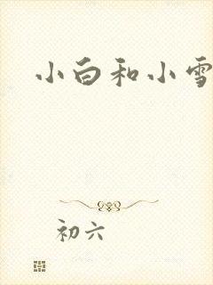 小白和小雪