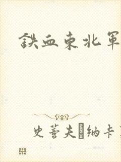 铁血东北军