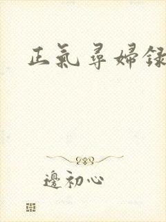 正气寻妇录封面