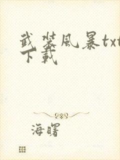 武装风暴txt下载
