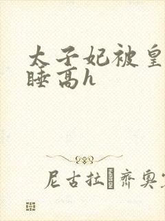 太子妃被皇上强睡高h