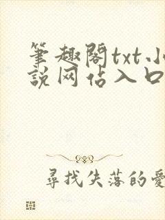 笔趣阁txt小说网站入口