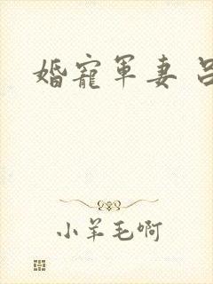 婚宠军妻 吕颜封面