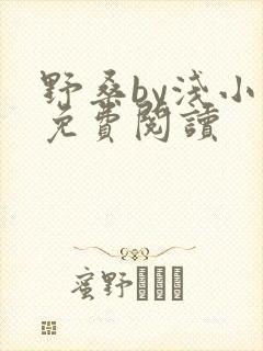 野桑by浅小说免费阅读