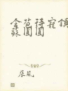 含苞待宠镇国公苏圆圆