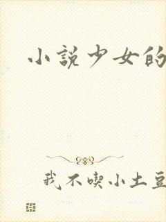 小说少女的心