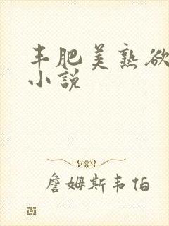 丰肥美熟欲妇乱小说封面