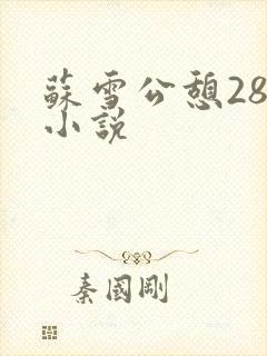 苏雪公憩28篇小说封面