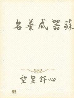 名养成器苏沫沫