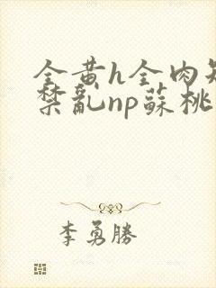 全黄h全肉短篇禁乱np苏桃封面