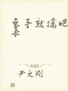 束手就擒吧韩队长