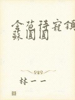 含苞待宠镇国公苏圆圆