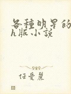 各种明星的综艺h版小说封面