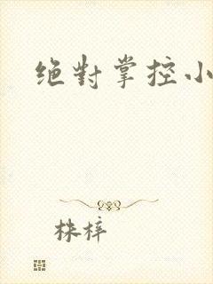 绝对掌控小说