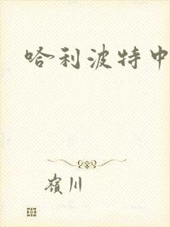 哈利波特中文版