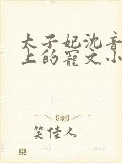 太子妃沈音和皇上的宠文小说