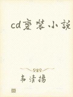 cd变装小说