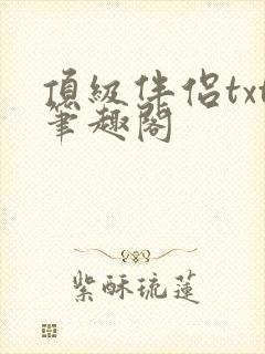 顶级伴侣txt笔趣阁