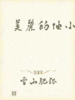 美丽的他小说