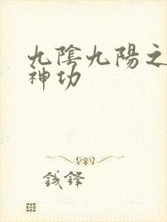 九阴九阳之阴阳神功封面
