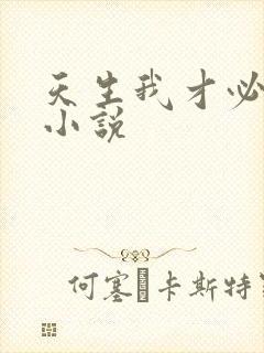 天生我才必有用小说