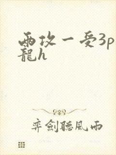 两攻一受3p双龙h