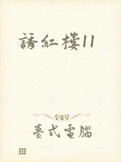 诱红楼11