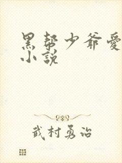 黑帮少爷爱上我小说