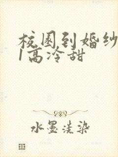 校园到婚纱1V1高冷甜