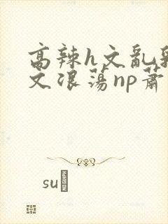 高辣h文乱乳h文浪荡np萧太后