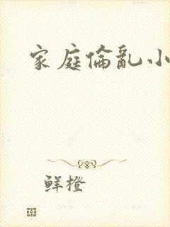 家庭伦乱小说封面