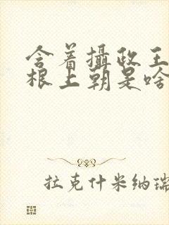 含着摄政王的紫根上朝是啥小说封面