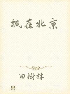 飘在北京