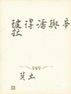 彼得潘与辛德瑞拉封面