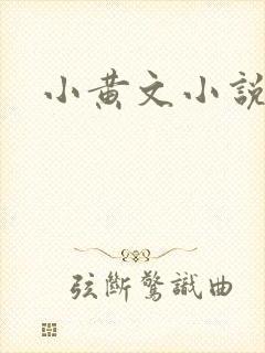 小黄文小说