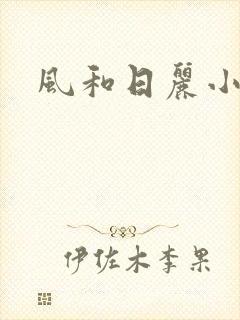 风和日丽小说