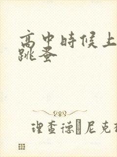 高中时候上课带跳蚤封面
