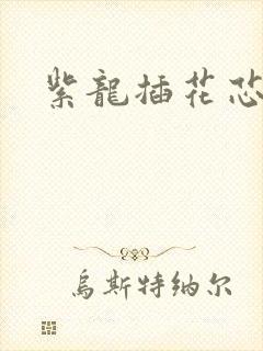 紫龙插花芯方正