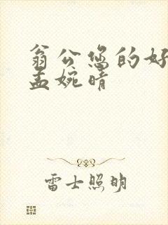 翁公您的好长呀孟婉晴封面