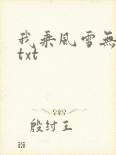 我乘风雪无删减txt