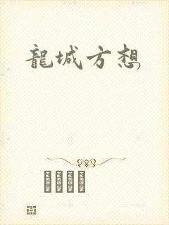 龙城方想封面